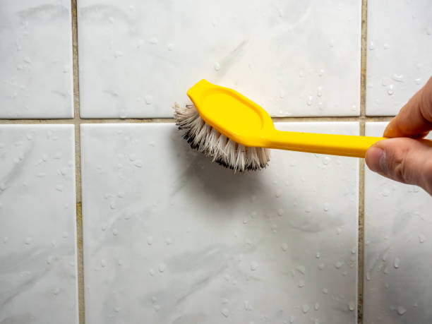 Best Commercial Mold Removal  in Athens, IL