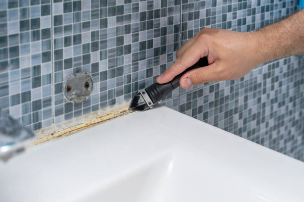 Best Office Mold Removal Services  in Athens, IL