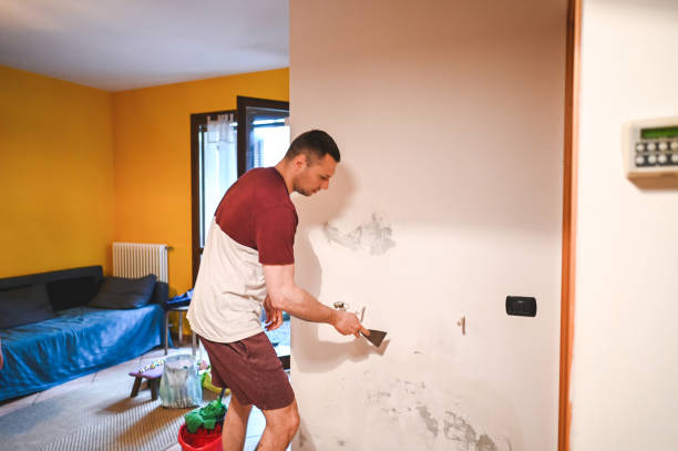 Best Best Mold Removal Companies  in Athens, IL